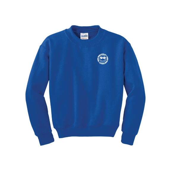Sweatshirt (Youth)